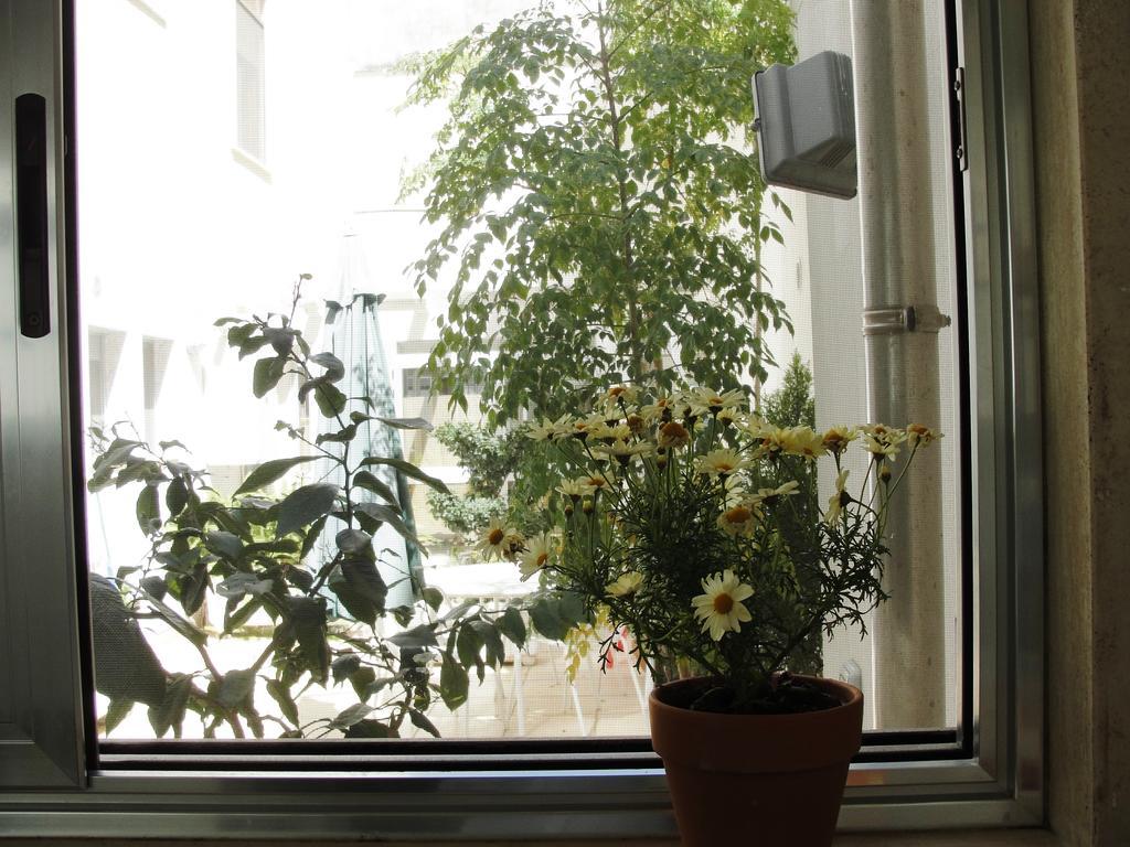 B&B Alma Grande Brindisi Eksteriør bilde